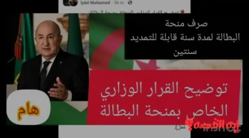 خطوات مهمة.. صرف منحة البطالة بالجزائر بزيادة قيمة وشروط جديدة 2026